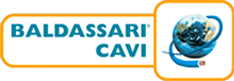 baldassaricavi